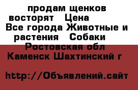 продам щенков восторят › Цена ­ 7 000 - Все города Животные и растения » Собаки   . Ростовская обл.,Каменск-Шахтинский г.